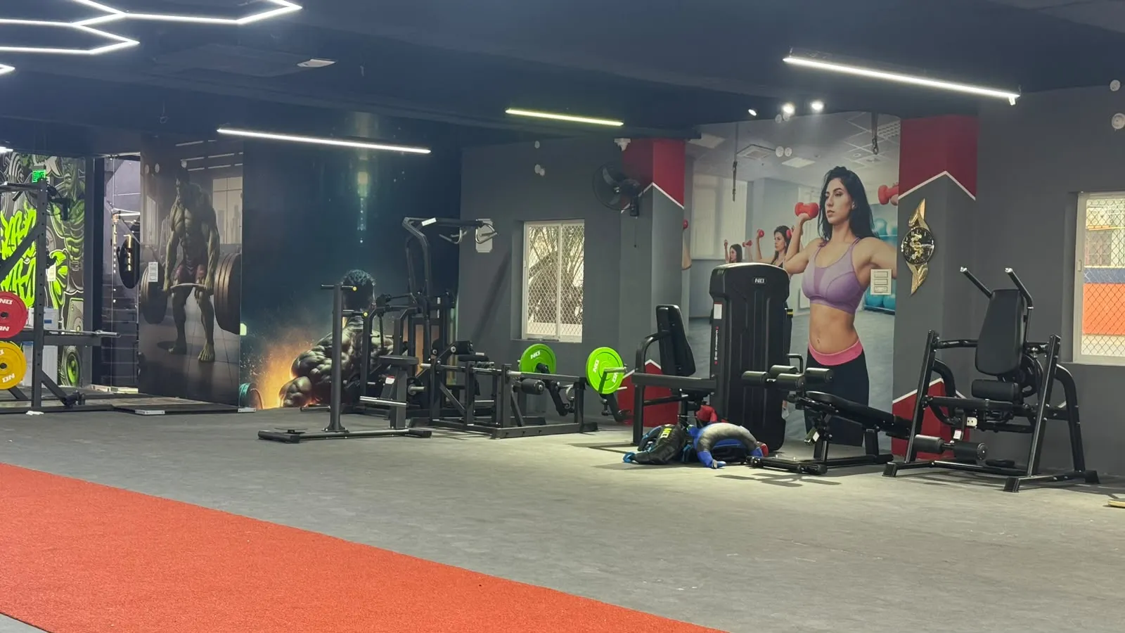 Strength equipment at Classic Gym